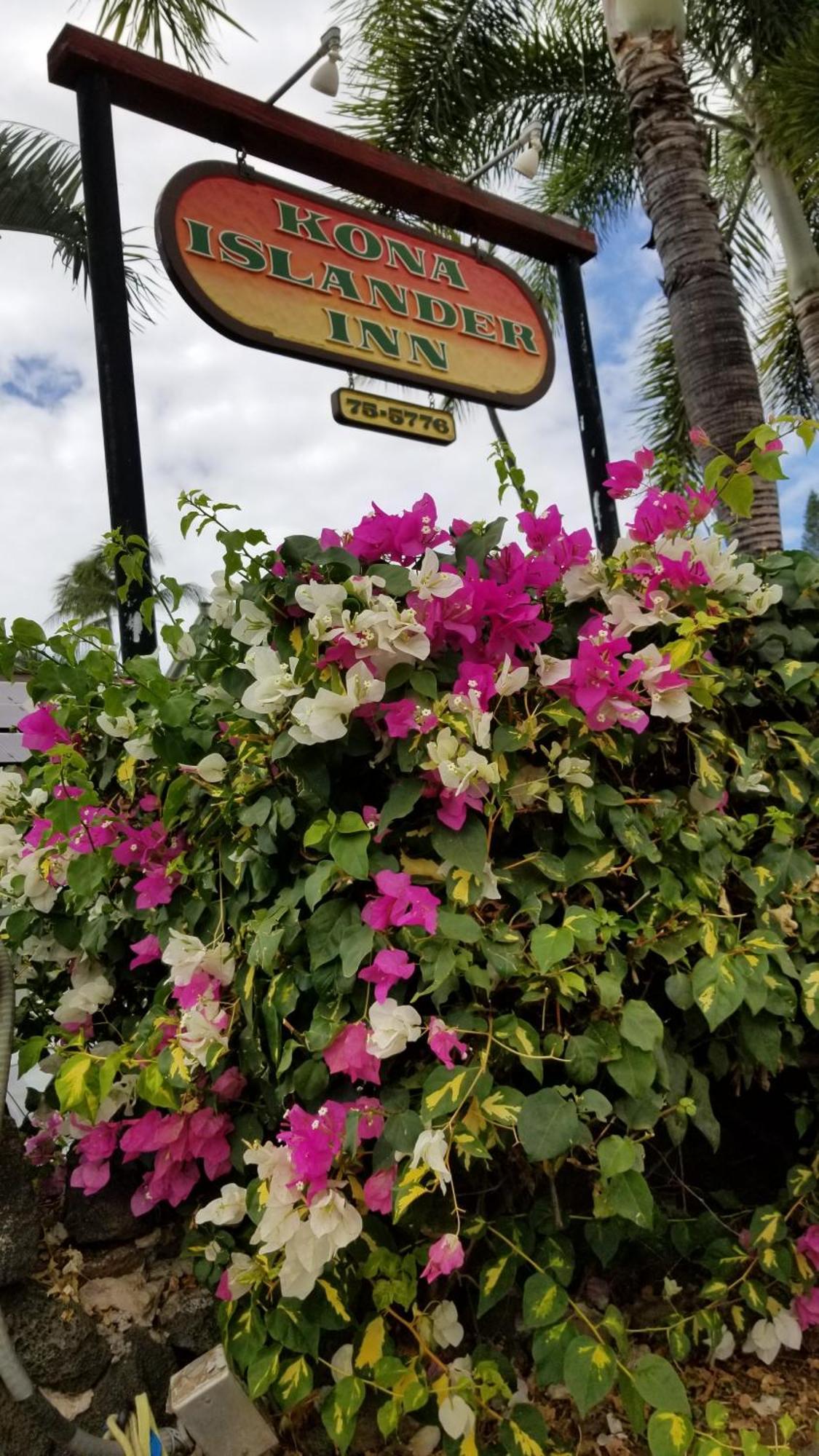 Downtown Hawaiian Theme Condo With Hot Tub, Pool & Beach - Kona Islander Inn Kailua-Kona Esterno foto